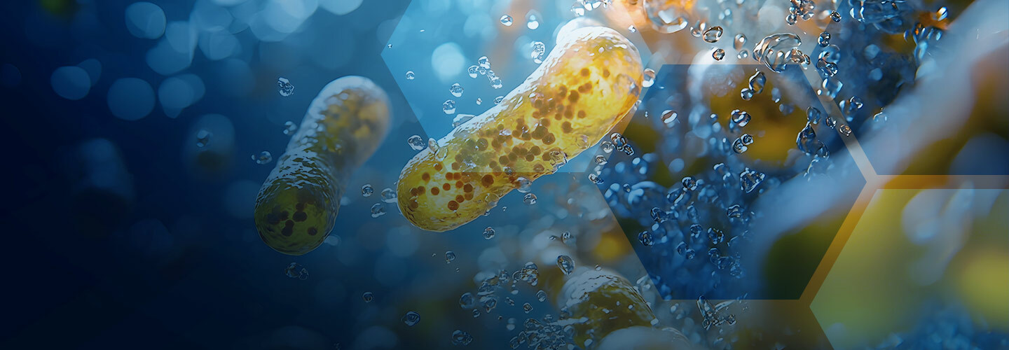 Wastewater treatment bacteria